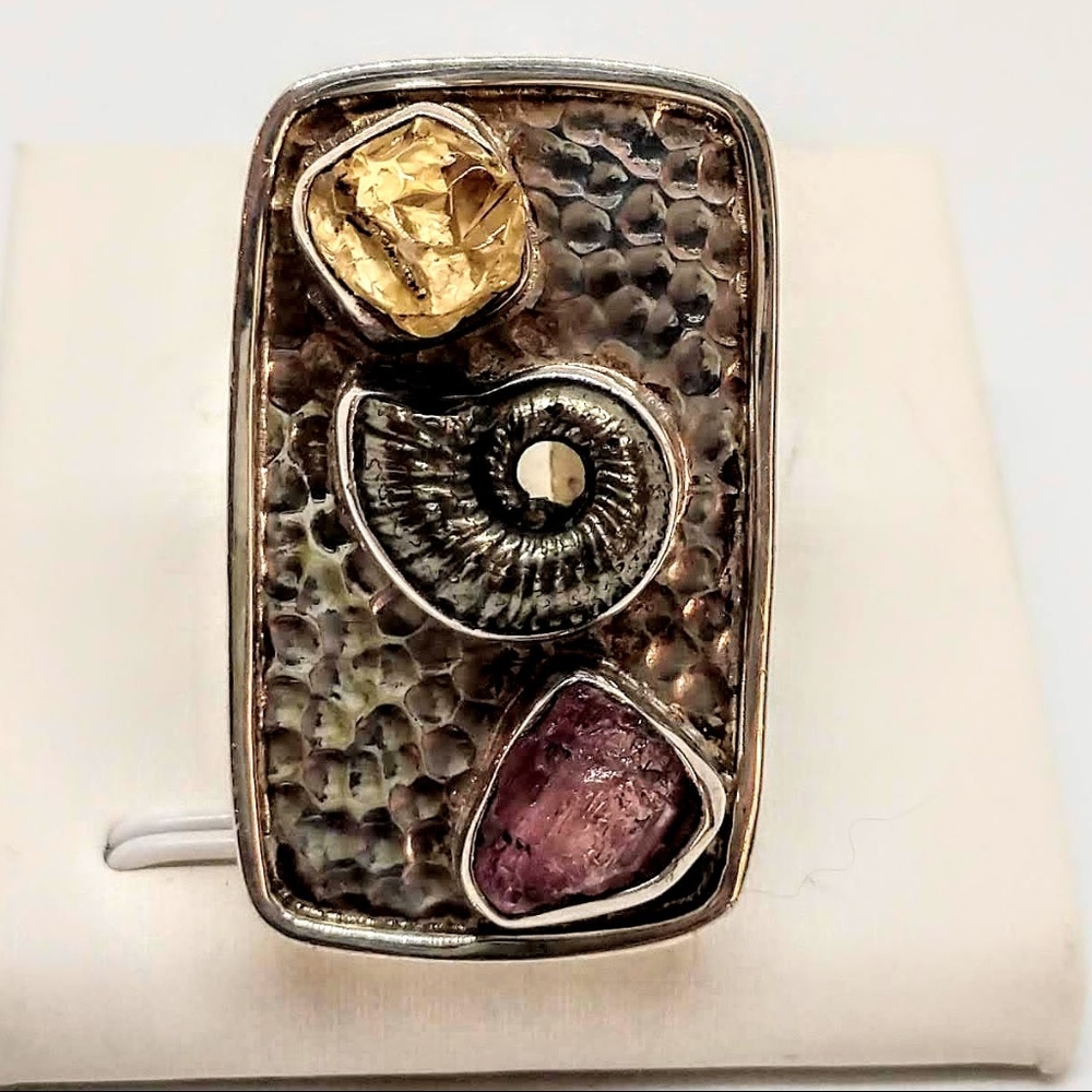 Pyritized Ammonite and Tourmaline Sterling Ring